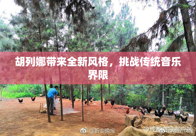 胡列娜带来全新风格，挑战传统音乐界限