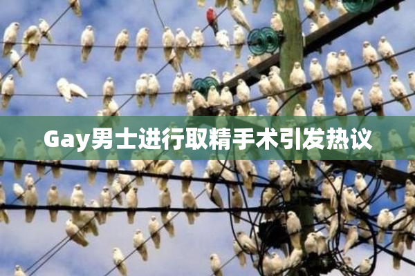 Gay男士进行取精手术引发热议