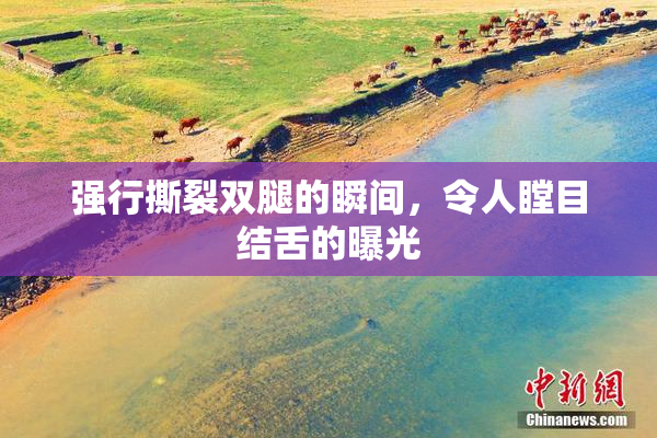 强行撕裂双腿的瞬间，令人瞠目结舌的曝光