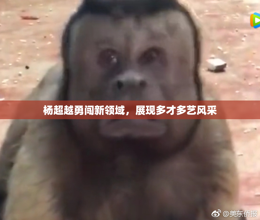 杨超越勇闯新领域，展现多才多艺风采