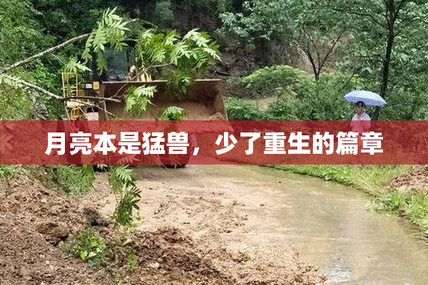 月亮本是猛兽，少了重生的篇章