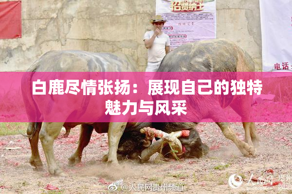 白鹿尽情张扬：展现自己的独特魅力与风采