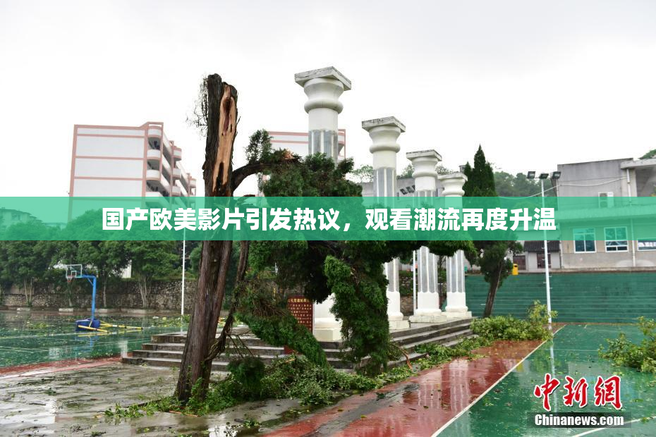 国产欧美影片引发热议，观看潮流再度升温