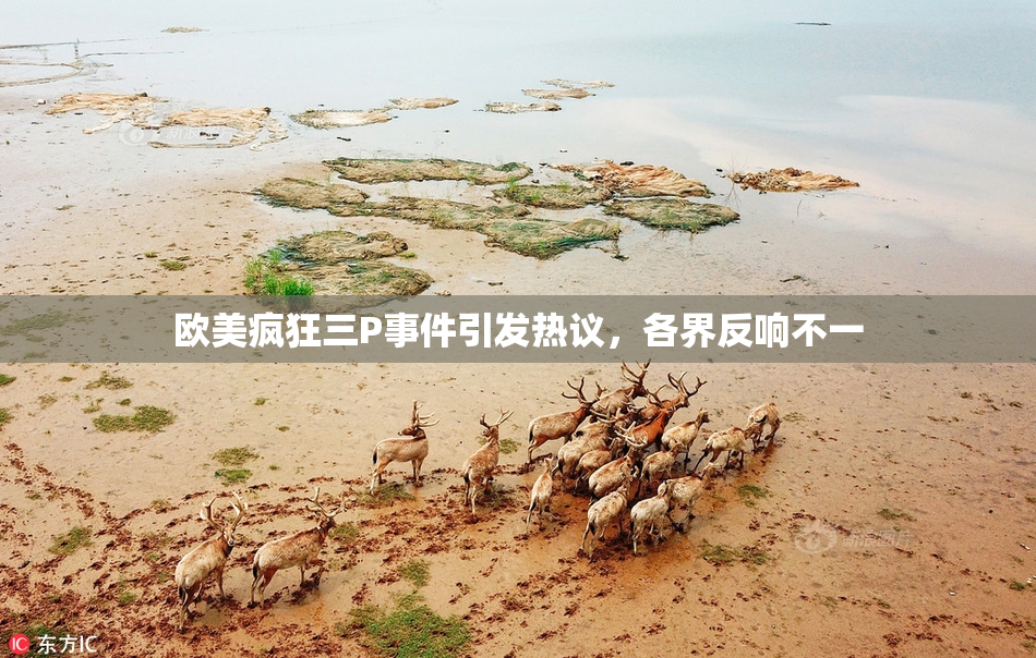 欧美疯狂三P事件引发热议，各界反响不一