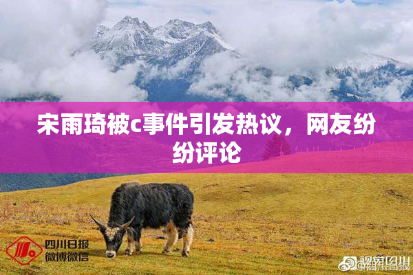 宋雨琦被c事件引发热议，网友纷纷评论