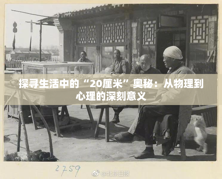 探寻生活中的“20厘米”奥秘：从物理到心理的深刻意义