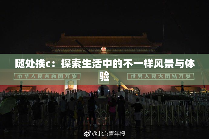 随处挨c：探索生活中的不一样风景与体验