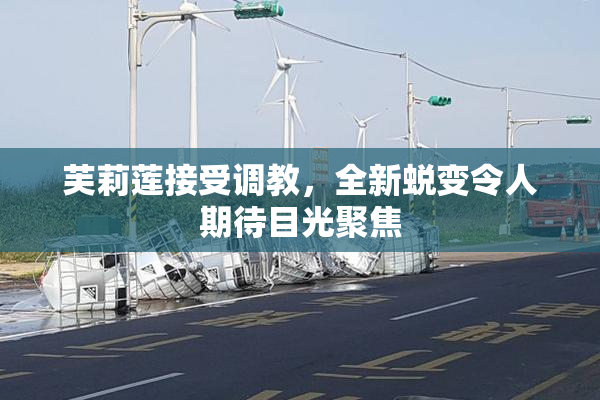 芙莉莲接受调教，全新蜕变令人期待目光聚焦