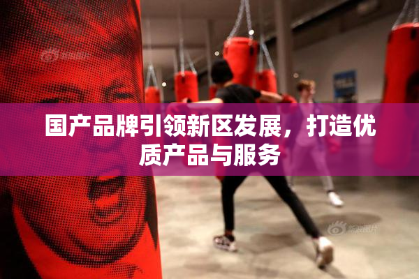 国产品牌引领新区发展，打造优质产品与服务