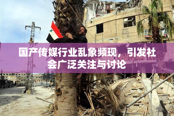 国产传媒行业乱象频现，引发社会广泛关注与讨论
