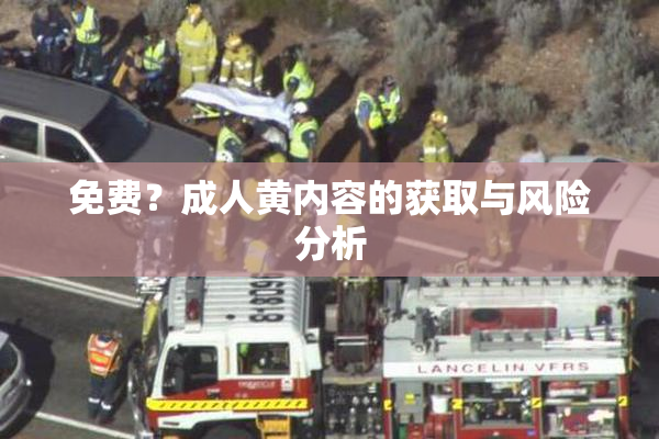 免费？成人黄内容的获取与风险分析