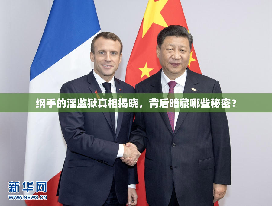 纲手的淫监狱真相揭晓，背后暗藏哪些秘密？