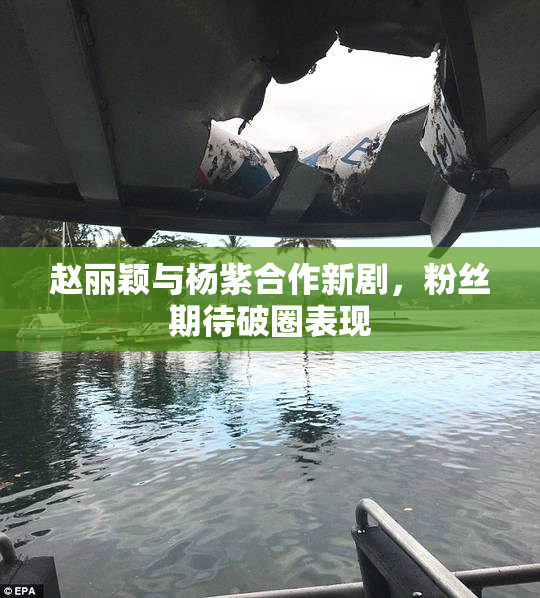 赵丽颖与杨紫合作新剧，粉丝期待破圈表现