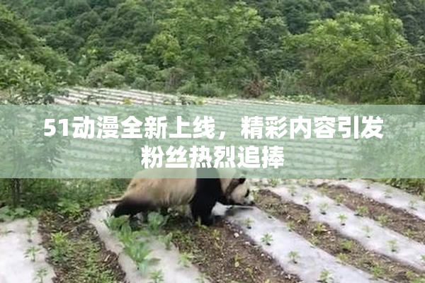 51动漫全新上线，精彩内容引发粉丝热烈追捧