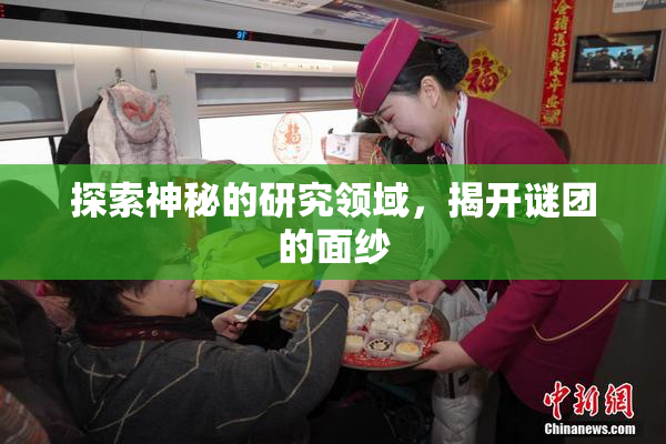 探索神秘的研究领域，揭开谜团的面纱