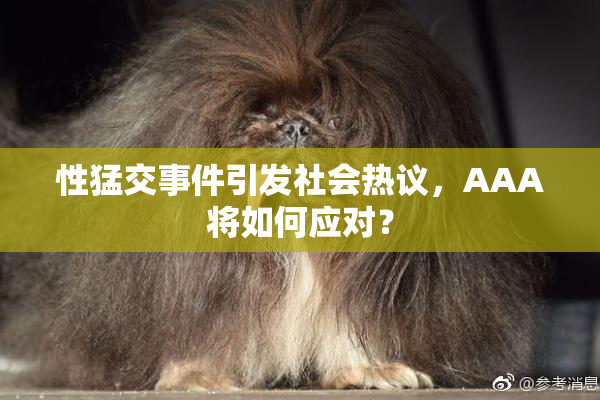性猛交事件引发社会热议，AAA将如何应对？