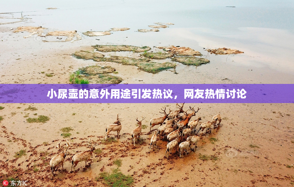 小尿壶的意外用途引发热议，网友热情讨论