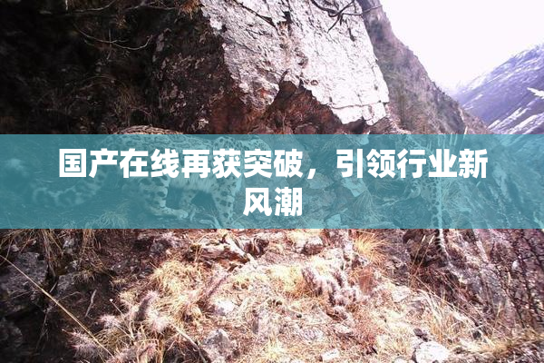 国产在线再获突破，引领行业新风潮