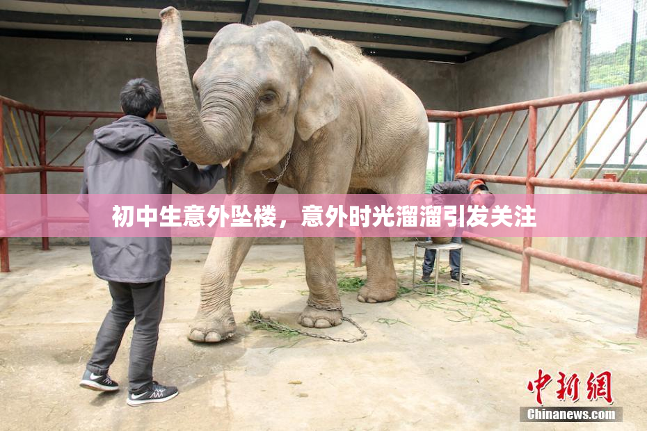 初中生意外坠楼，意外时光溜溜引发关注