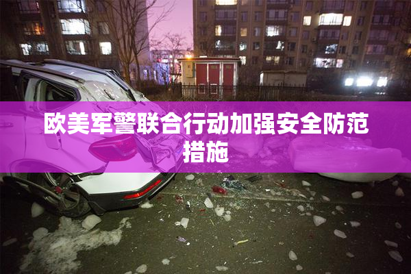 欧美军警联合行动加强安全防范措施