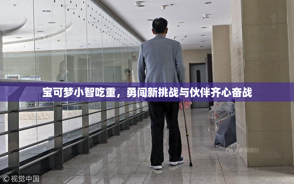宝可梦小智吃重，勇闯新挑战与伙伴齐心奋战