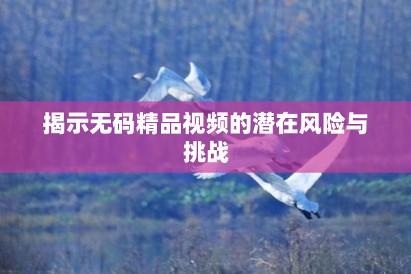 揭示无码精品视频的潜在风险与挑战