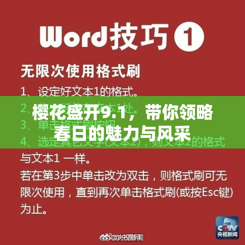 樱花盛开9.1，带你领略春日的魅力与风采