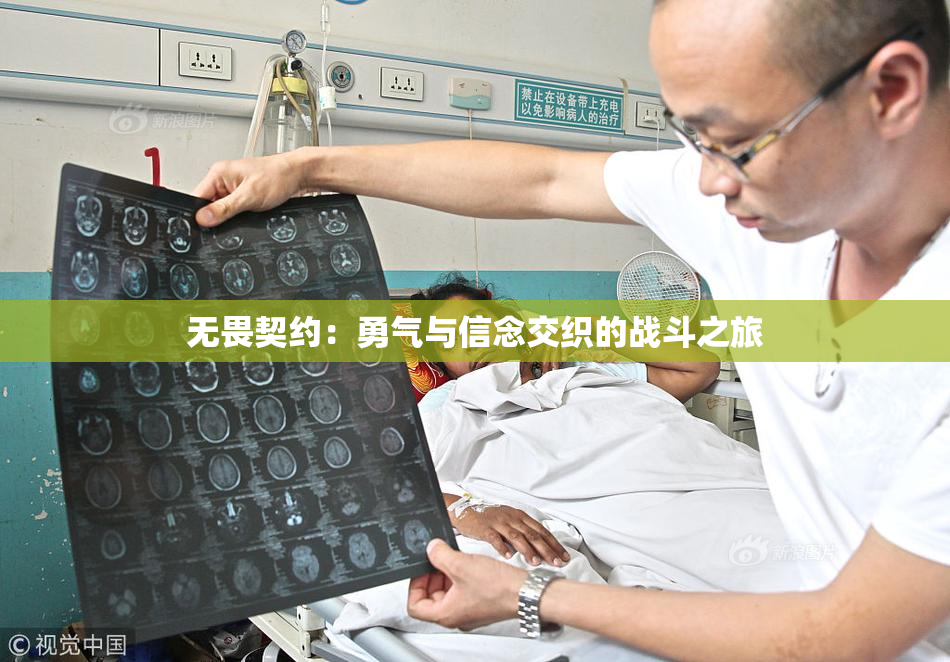 无畏契约：勇气与信念交织的战斗之旅