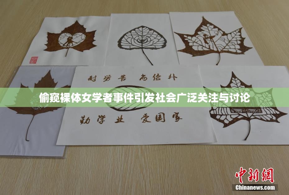 偷窥裸体女学者事件引发社会广泛关注与讨论