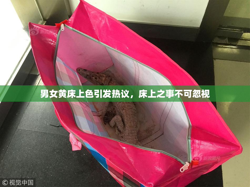 男女黄床上色引发热议，床上之事不可忽视