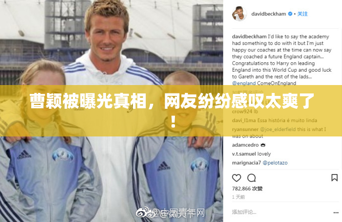 曹颖被曝光真相，网友纷纷感叹太爽了！