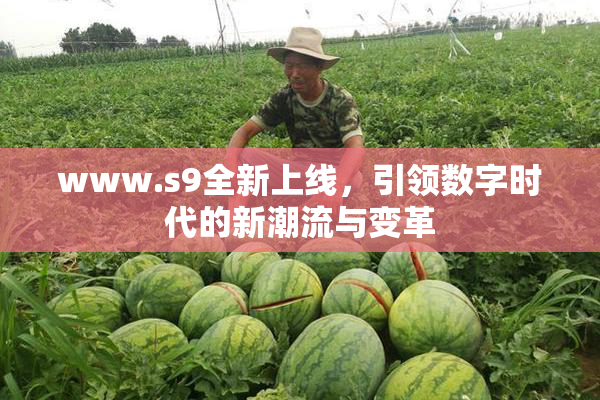 www.s9全新上线，引领数字时代的新潮流与变革