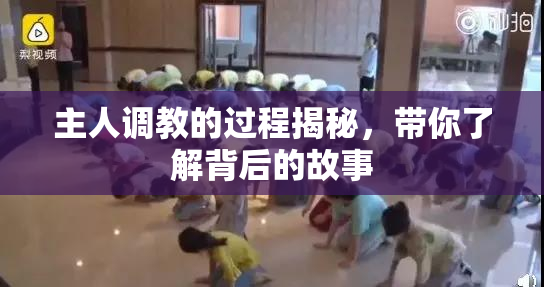 主人调教的过程揭秘，带你了解背后的故事