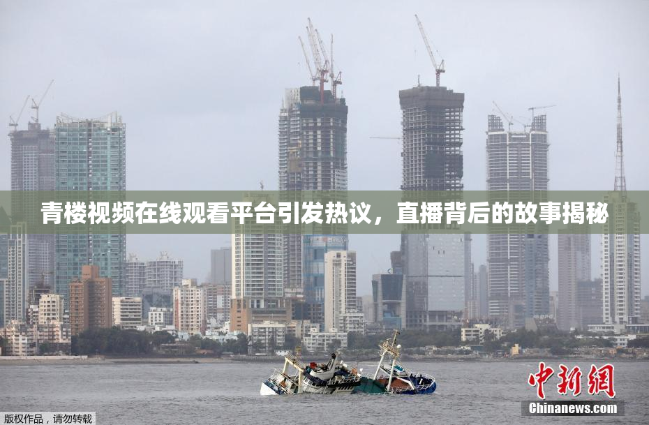 青楼视频在线观看平台引发热议，直播背后的故事揭秘