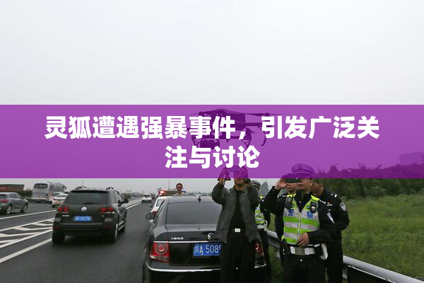 灵狐遭遇强暴事件，引发广泛关注与讨论
