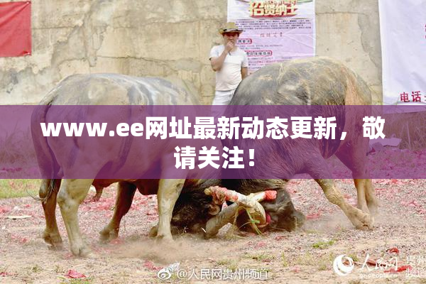 www.ee网址最新动态更新，敬请关注！