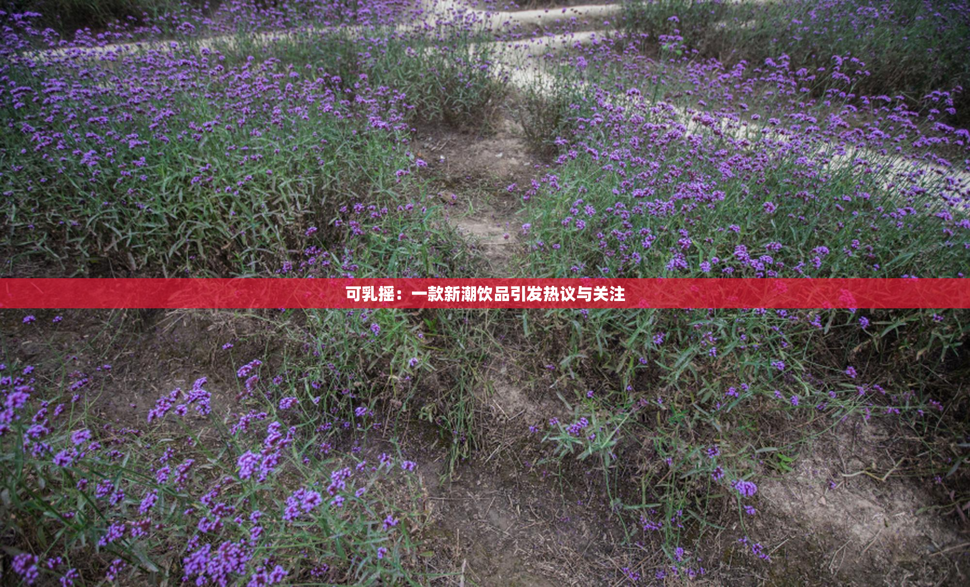 可乳摇：一款新潮饮品引发热议与关注