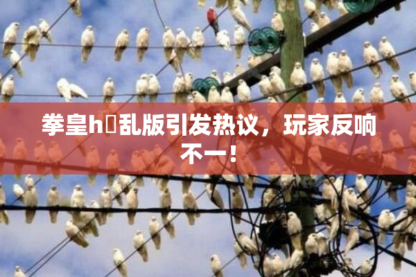拳皇h婬乱版引发热议，玩家反响不一！