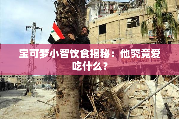 宝可梦小智饮食揭秘：他究竟爱吃什么？