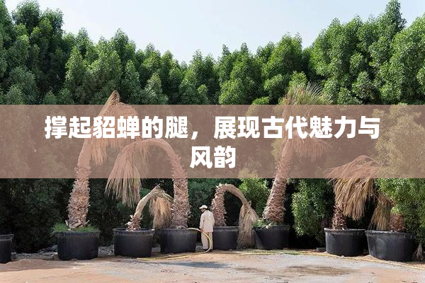 撑起貂蝉的腿，展现古代魅力与风韵