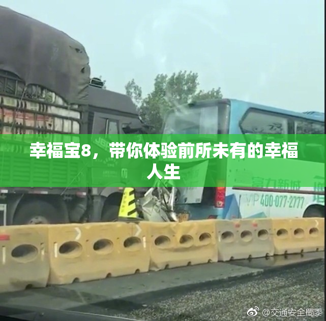 幸福宝8，带你体验前所未有的幸福人生