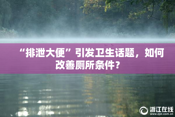“排泄大便”引发卫生话题，如何改善厕所条件？