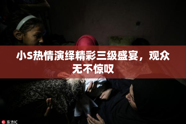 小S热情演绎精彩三级盛宴，观众无不惊叹