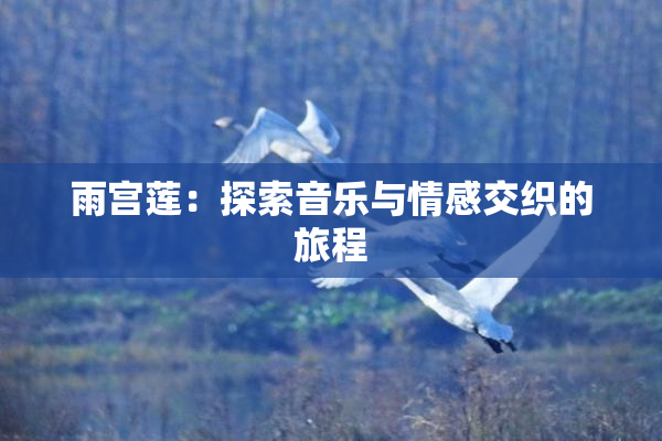 雨宫莲：探索音乐与情感交织的旅程