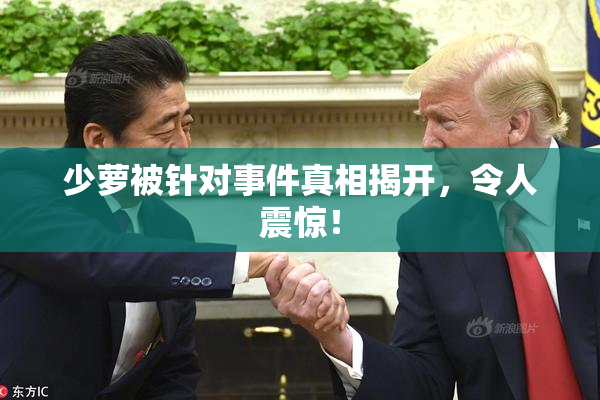 少萝被针对事件真相揭开，令人震惊！