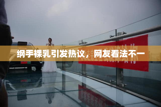 纲手裸乳引发热议，网友看法不一