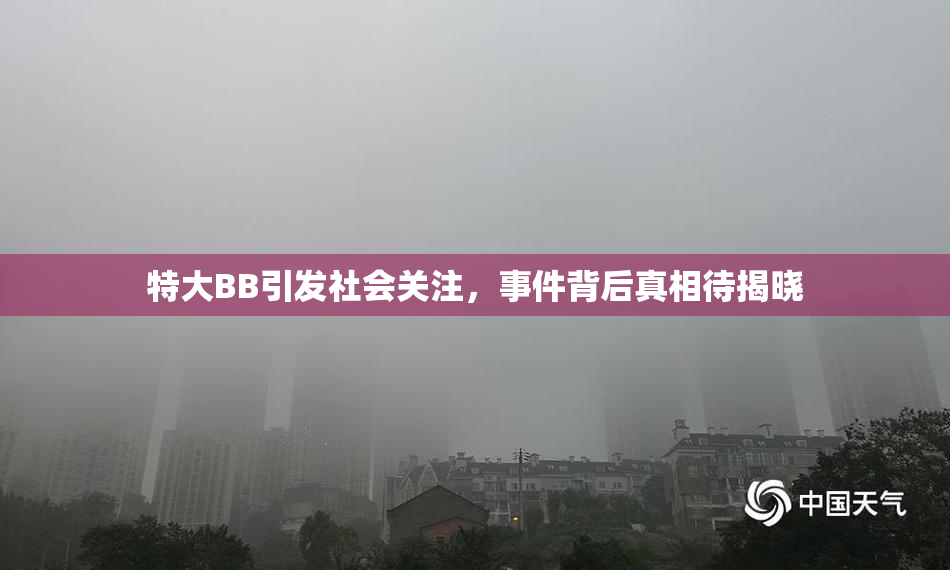 特大BB引发社会关注，事件背后真相待揭晓