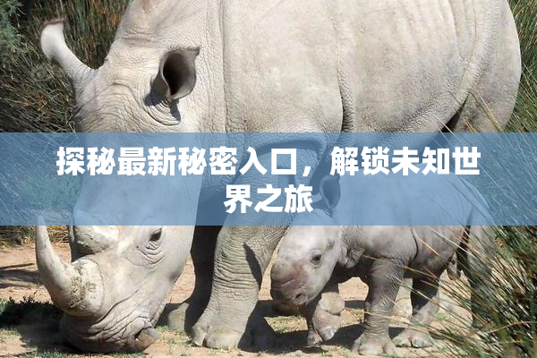 探秘最新秘密入口，解锁未知世界之旅