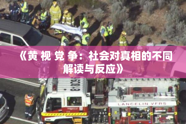 《黄 视 党 争：社会对真相的不同解读与反应》