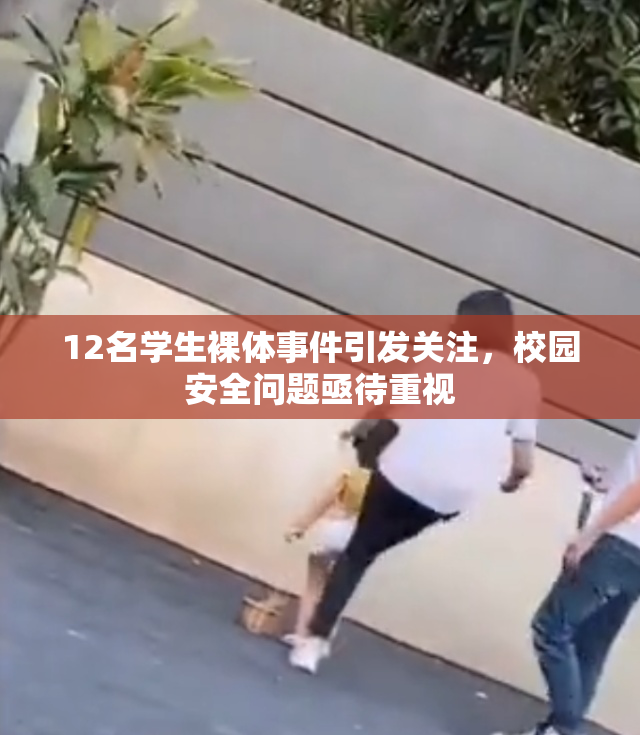 12名学生裸体事件引发关注，校园安全问题亟待重视